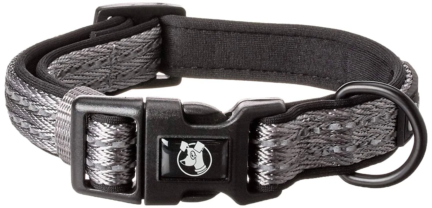 Adventure Dog Collar With Reflective Stitching & Neoprene Padding