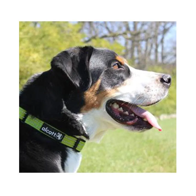 Adventure Dog Collar With Reflective Stitching & Neoprene Padding