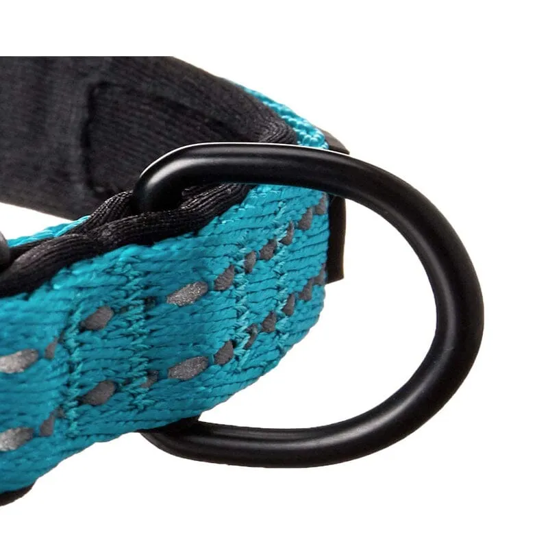 Adventure Dog Collar With Reflective Stitching & Neoprene Padding