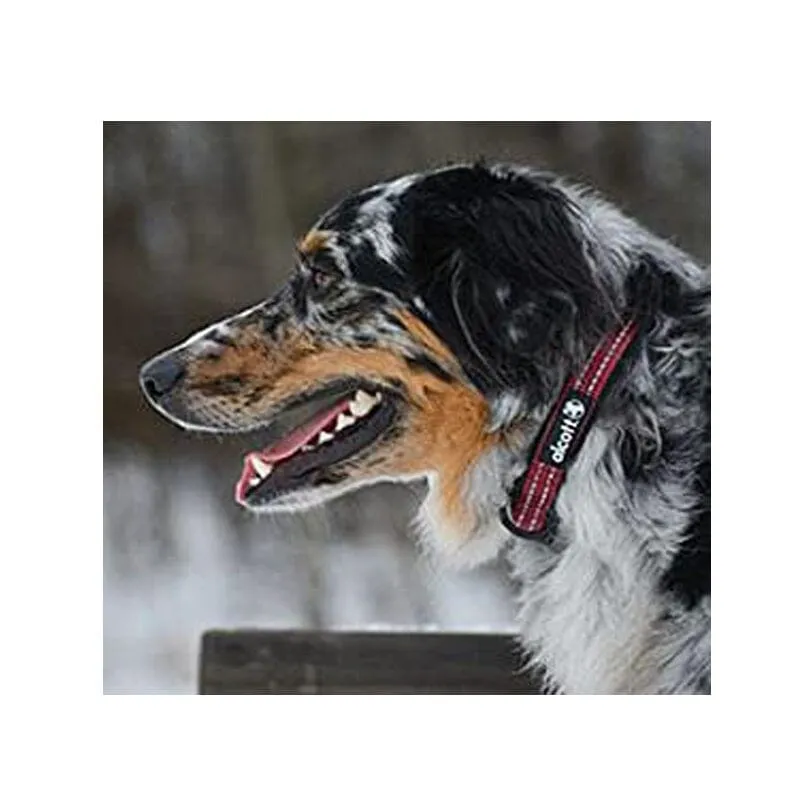 Adventure Dog Collar With Reflective Stitching & Neoprene Padding
