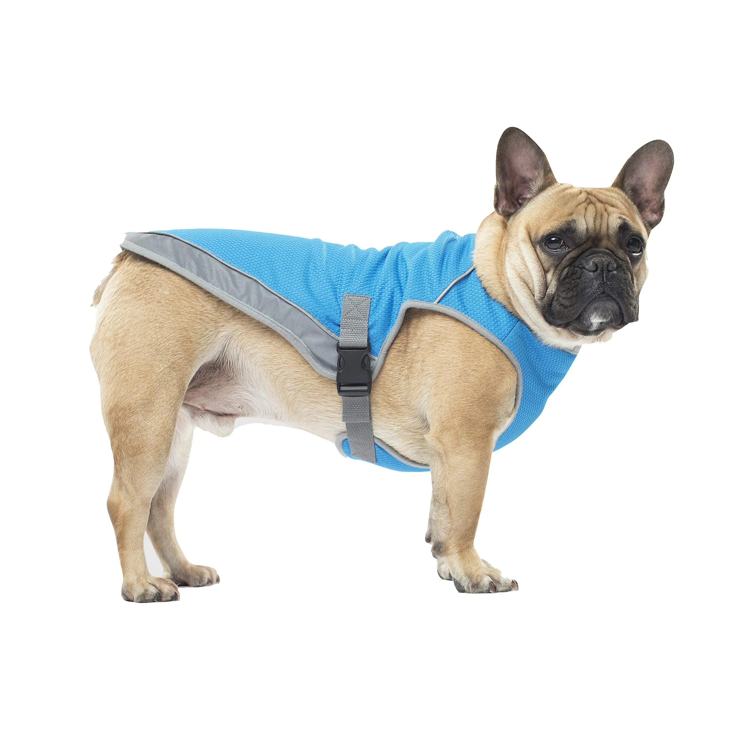 Canada Pooch Chill Seeker Cooling Dog Vest