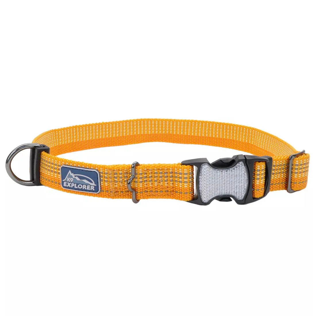 Coastal Pet Products K9 Explorer Brights Reflective Adjustable Dog Collar (1" x 18”-26”, Lake)