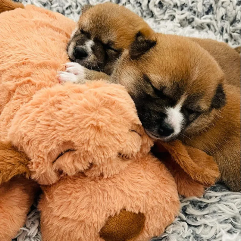 Comfy Plush Toy For Puppies