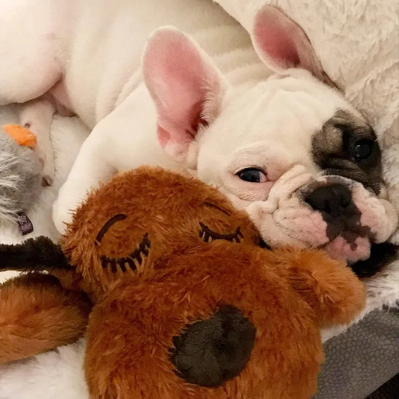 Comfy Plush Toy For Puppies
