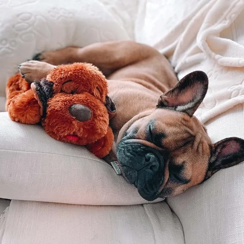 Comfy Plush Toy For Puppies