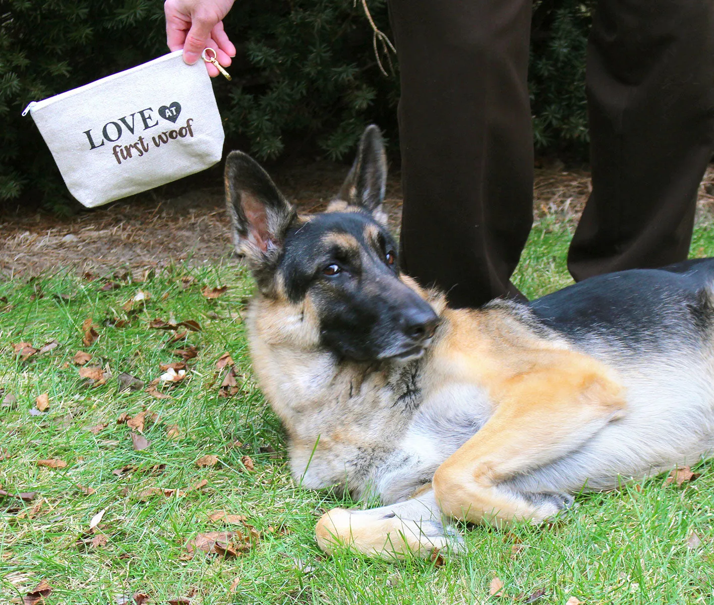 Dog Travel Kit "Love at First Woof"