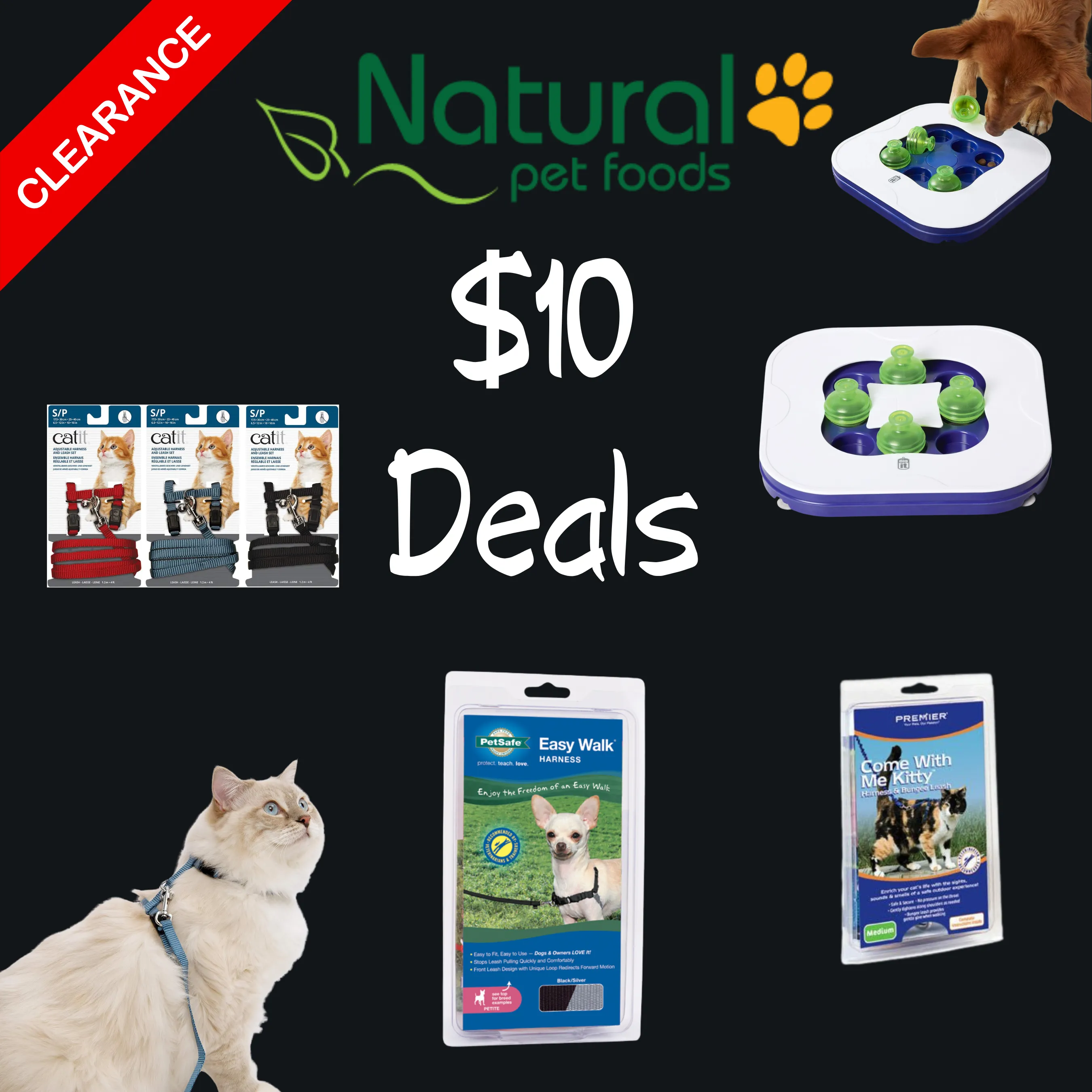 Dogit Mind Games Interactive Smart Toy for Dogs SALE