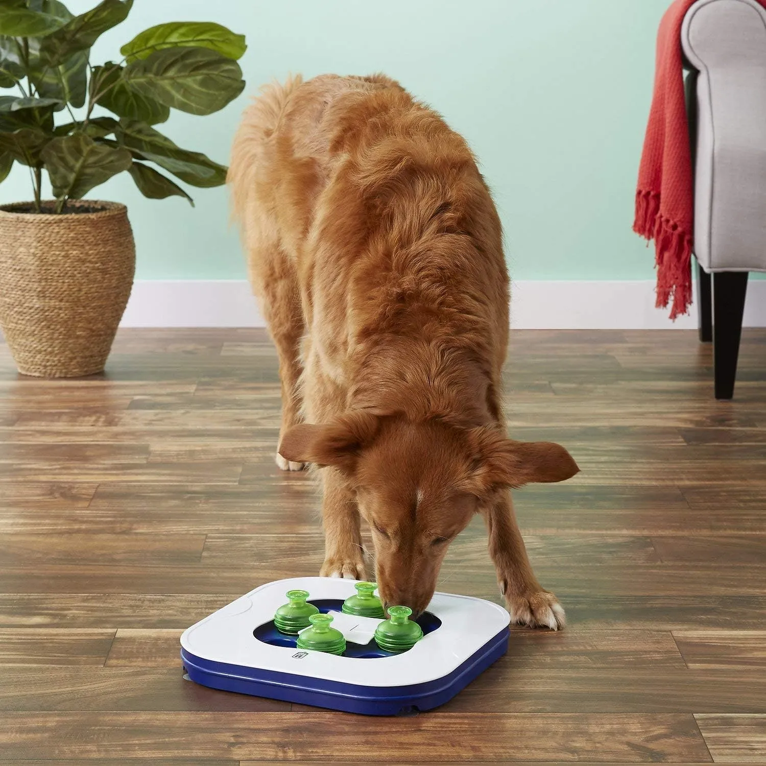 Dogit Mind Games Interactive Smart Toy for Dogs SALE