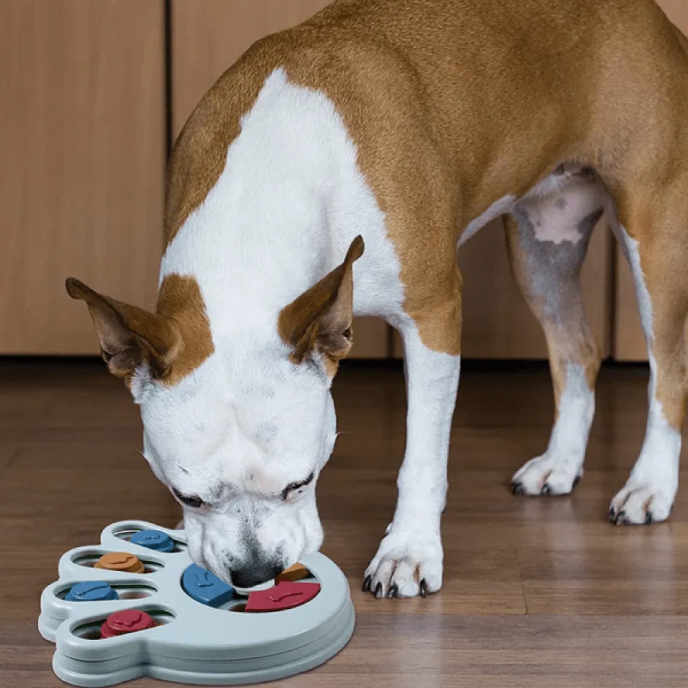 Emily Pets Intelligence Food Treated Puzzle Toy for Dogs and Cats (Green)