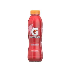 Gatorade Fruit Punch 495ml PET Bottle - 12x495ml (1 carton)