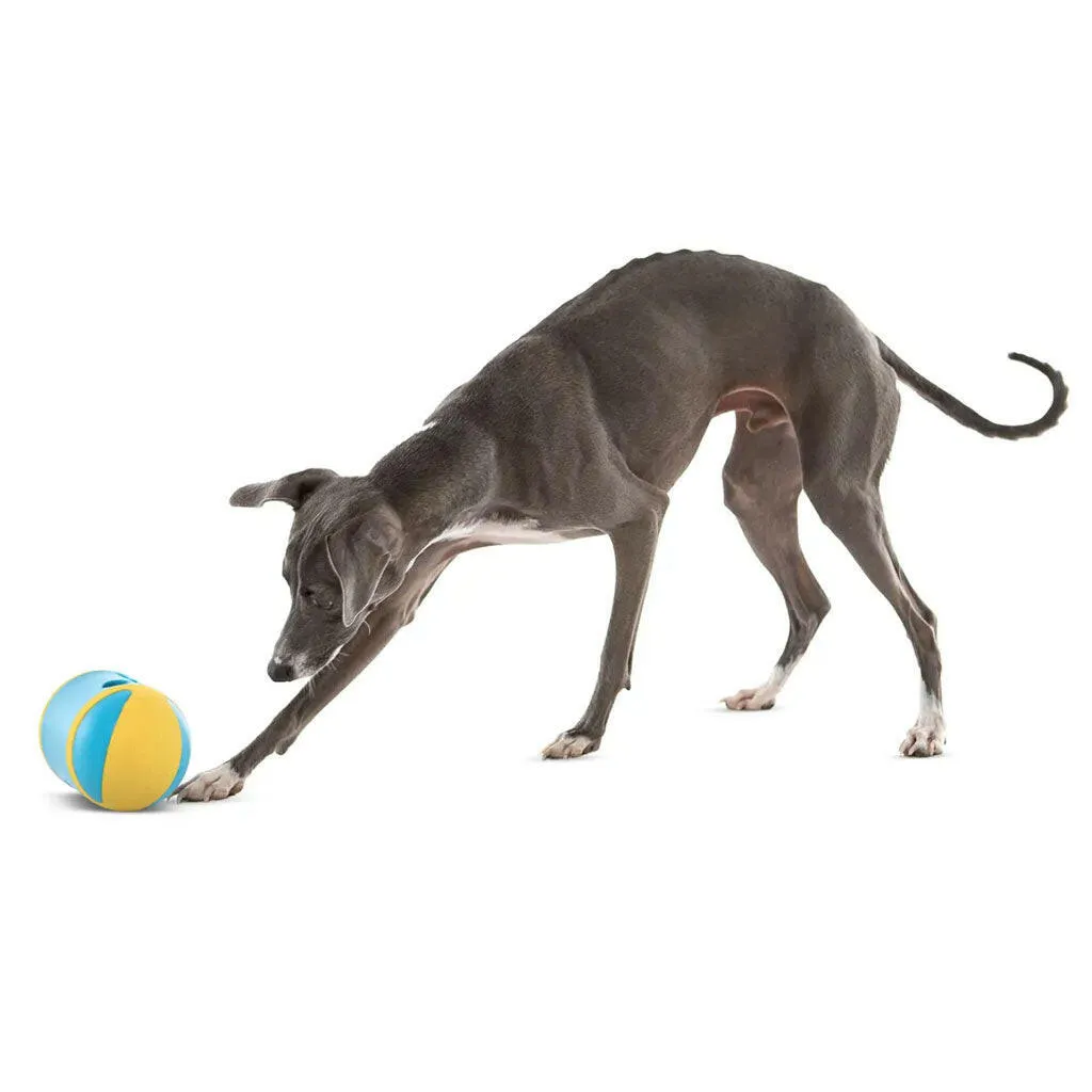 GURU Rock 'N Treat Dispenser Dog Toy, Medium