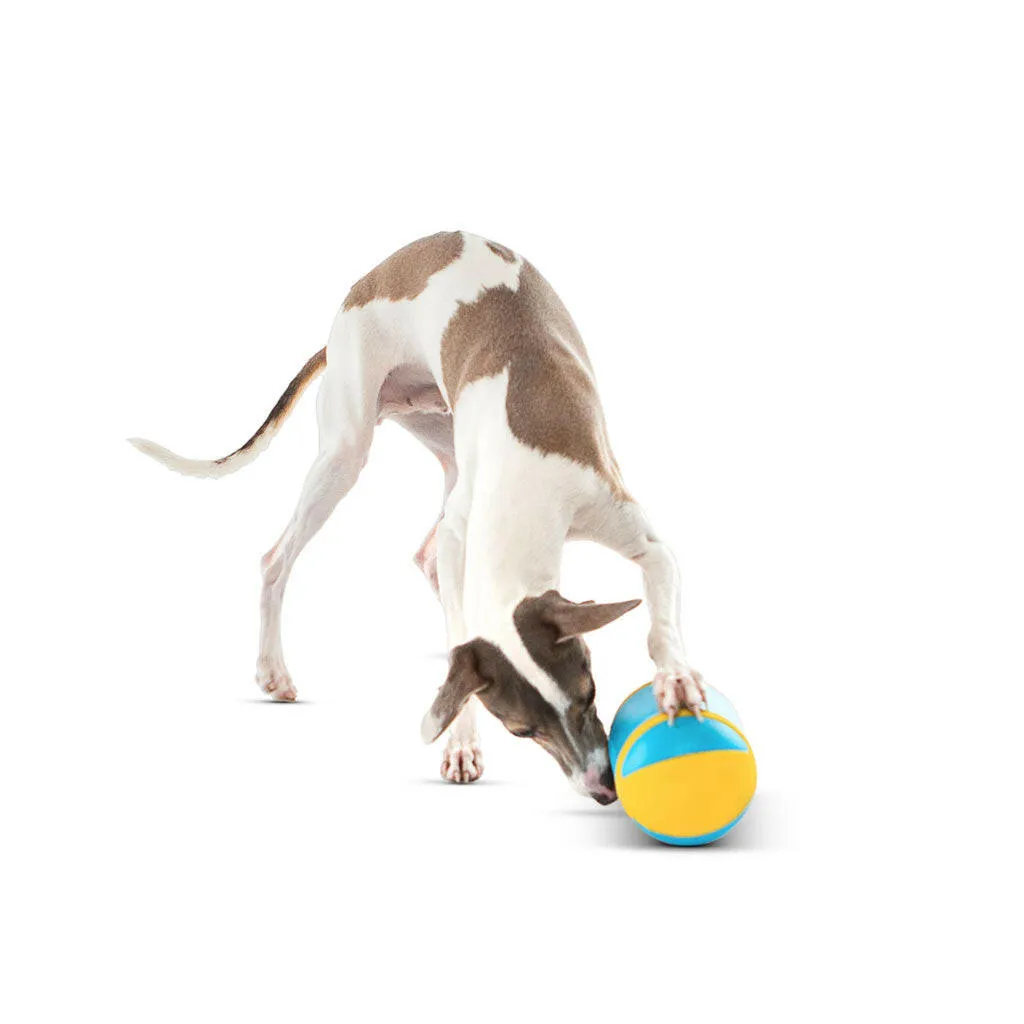 GURU Rock 'N Treat Dispenser Dog Toy, Medium