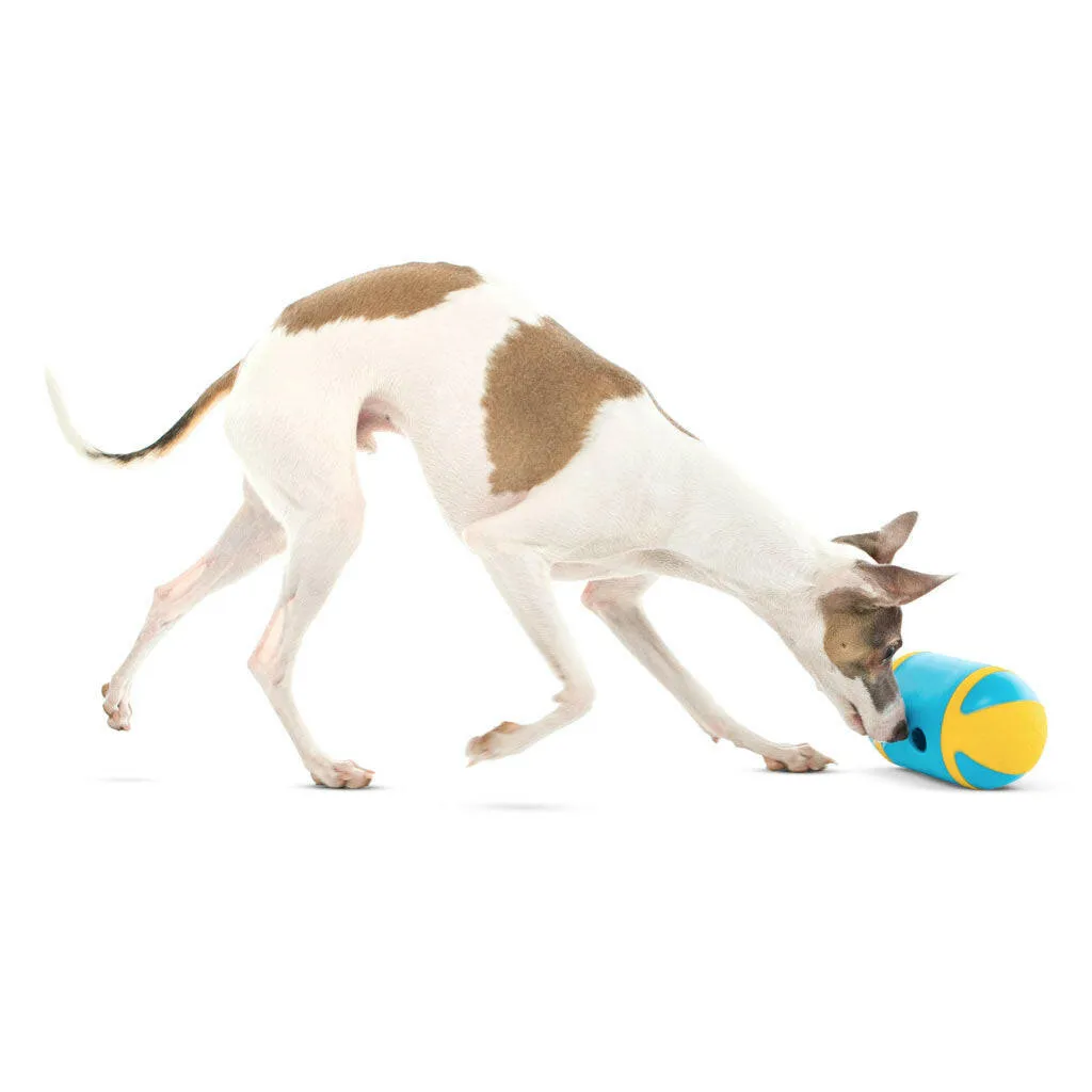 GURU Rock 'N Treat Dispenser Dog Toy, Medium