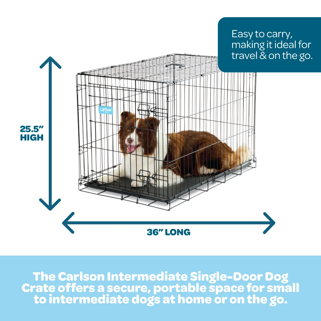 Intermediate Single-Door Dog Crate