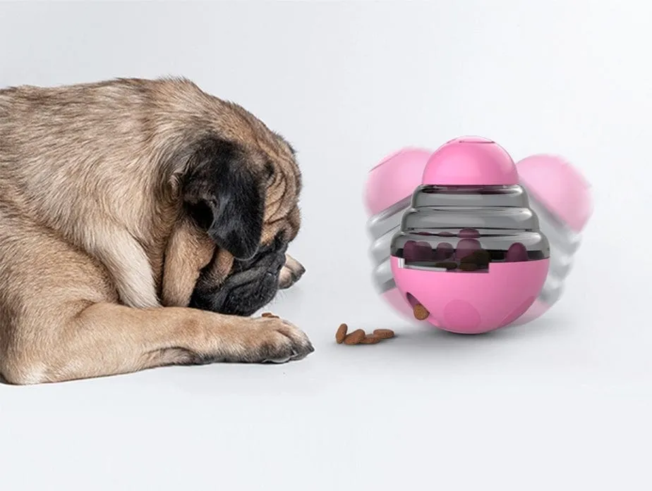 IQ Treat Toy