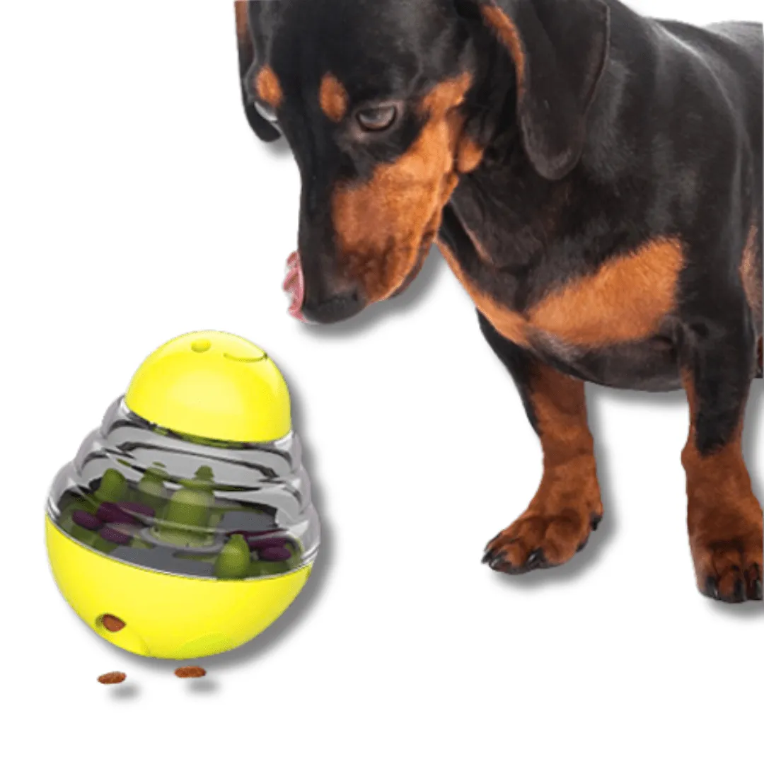 IQ Treat Toy