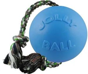 Jolly Pets Romp-n-Roll