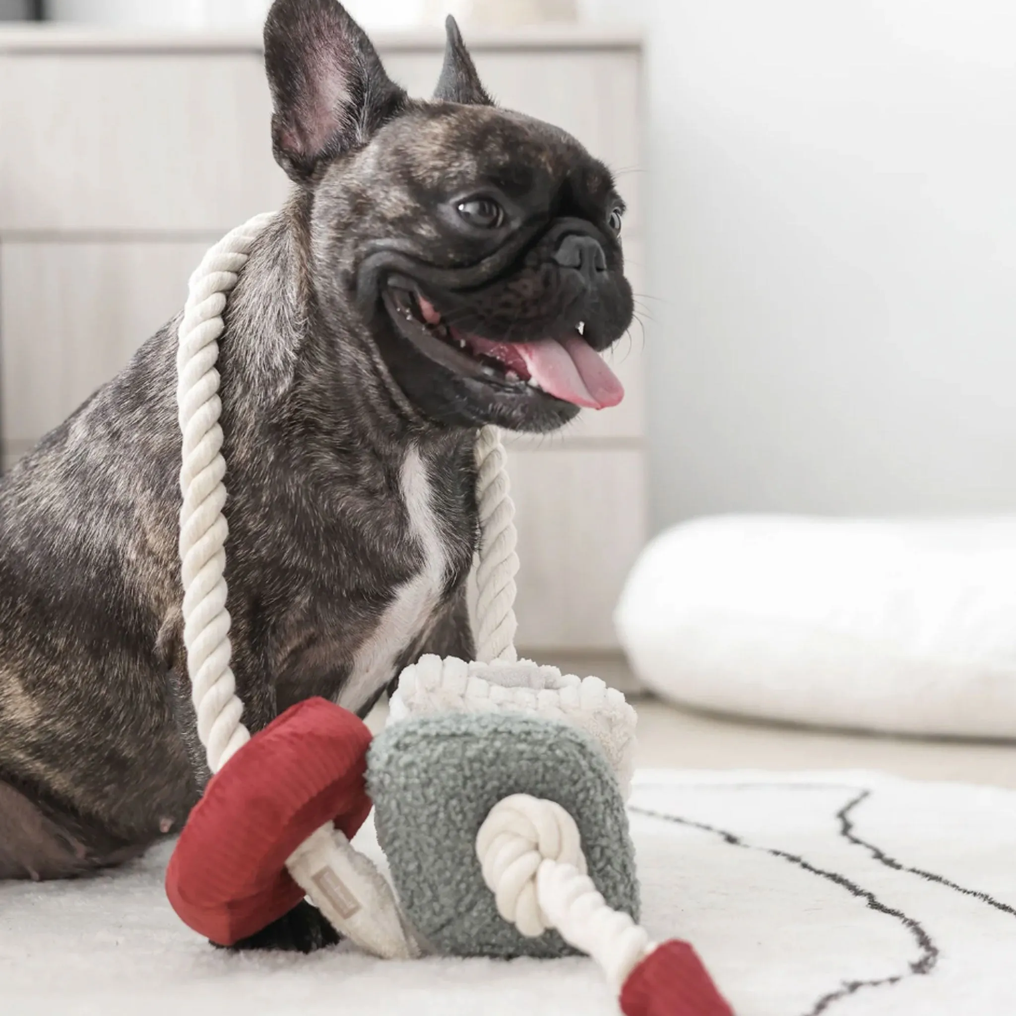 Lambwolf Holiday Bloc Dog Toy