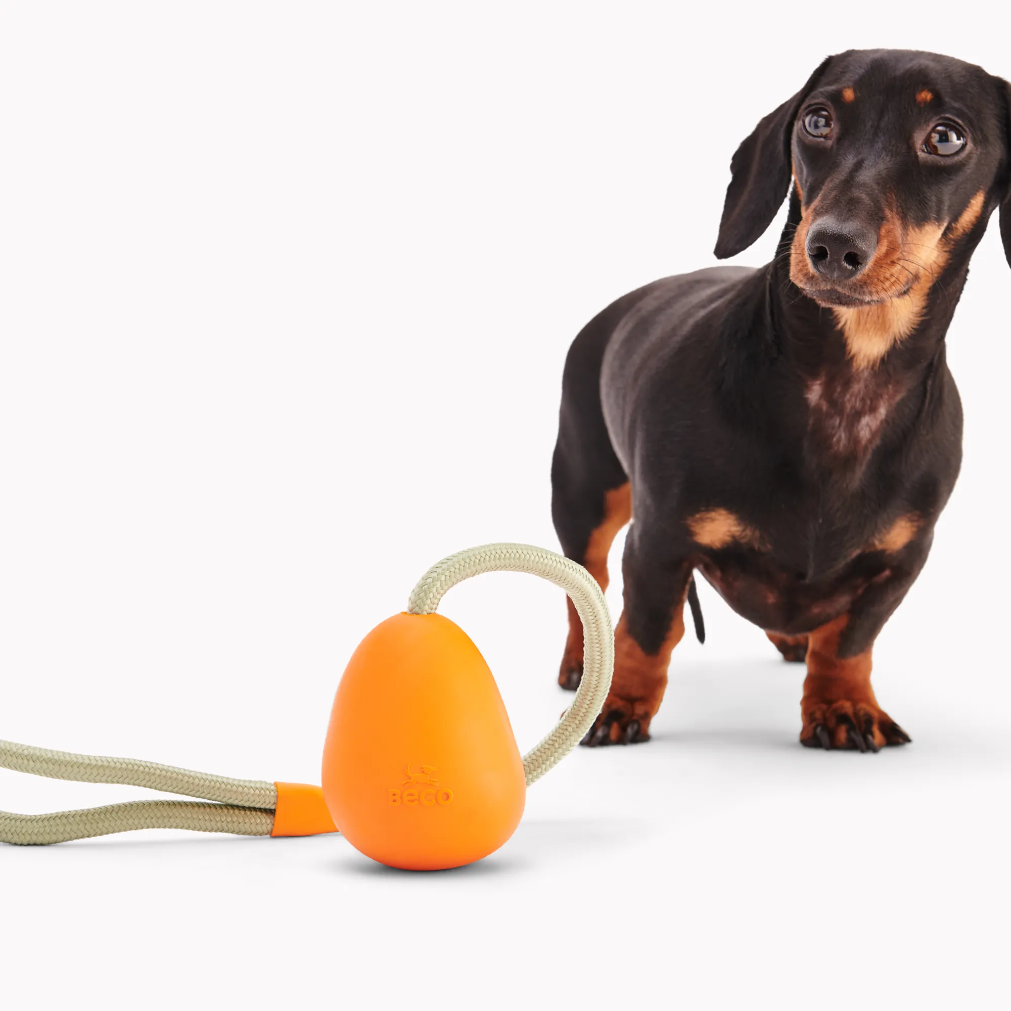 Natural Rubber Slinger Pebble Toy