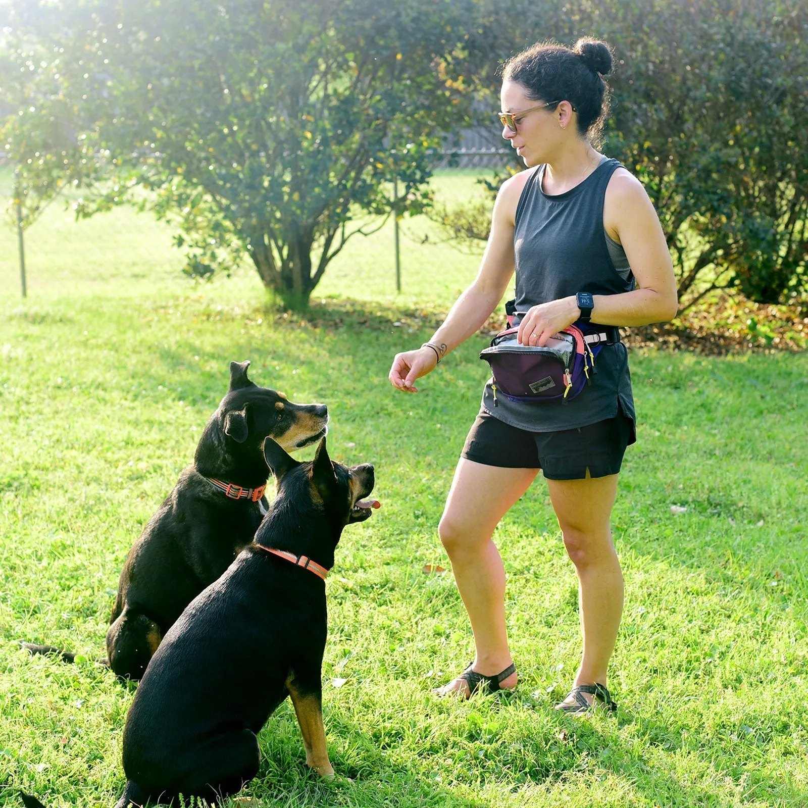 Night Keepers Rover Hip Pack 2.0
