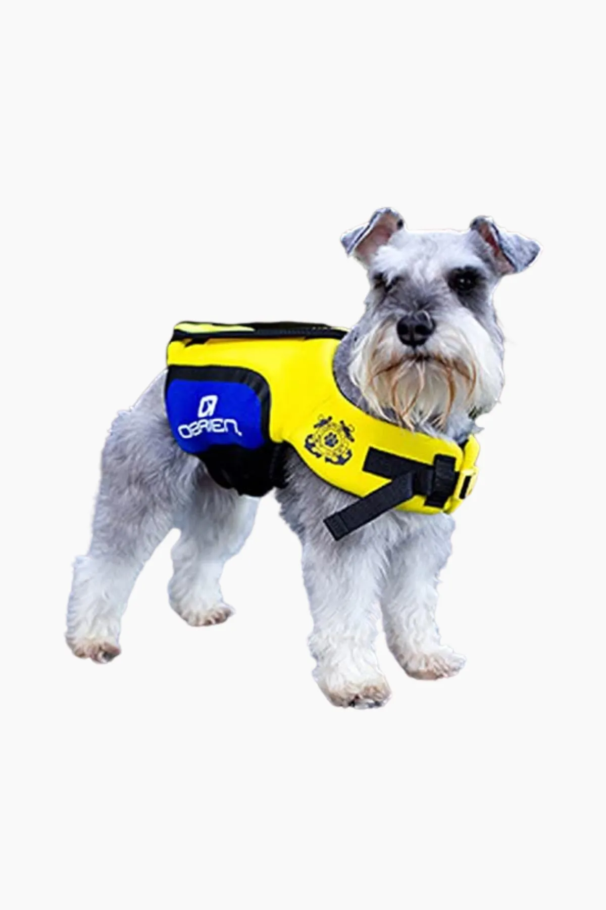 OBRIEN NEOPRENE PET LIFE JACKET