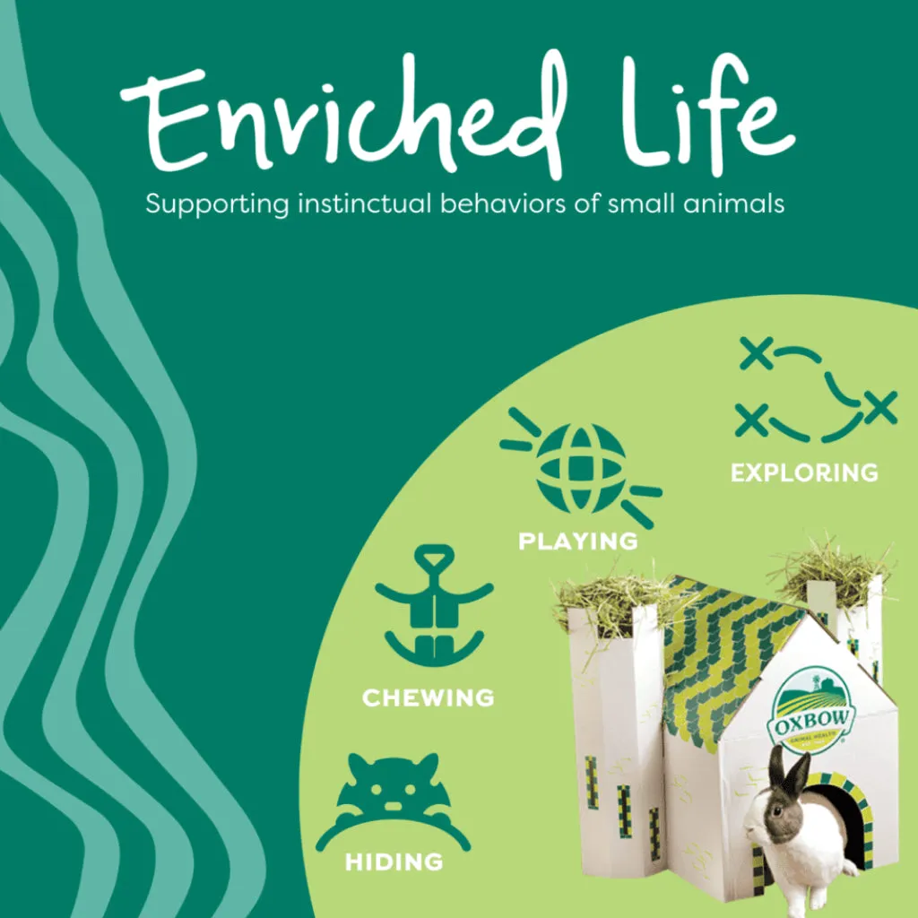Oxbow Enriched Life Wooden Puzzler Toy For Small Animals