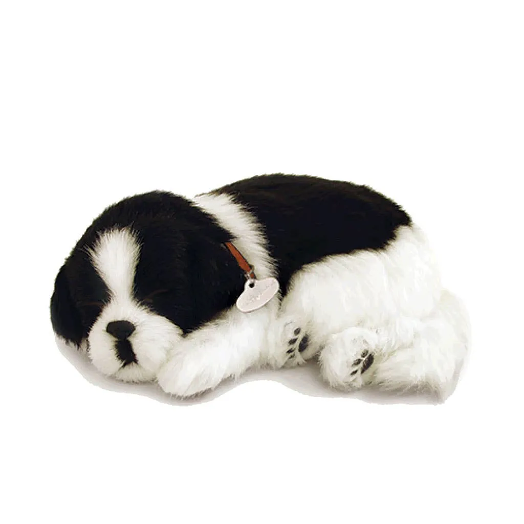 Perfect Petzzz