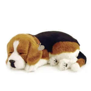 Perfect Petzzz