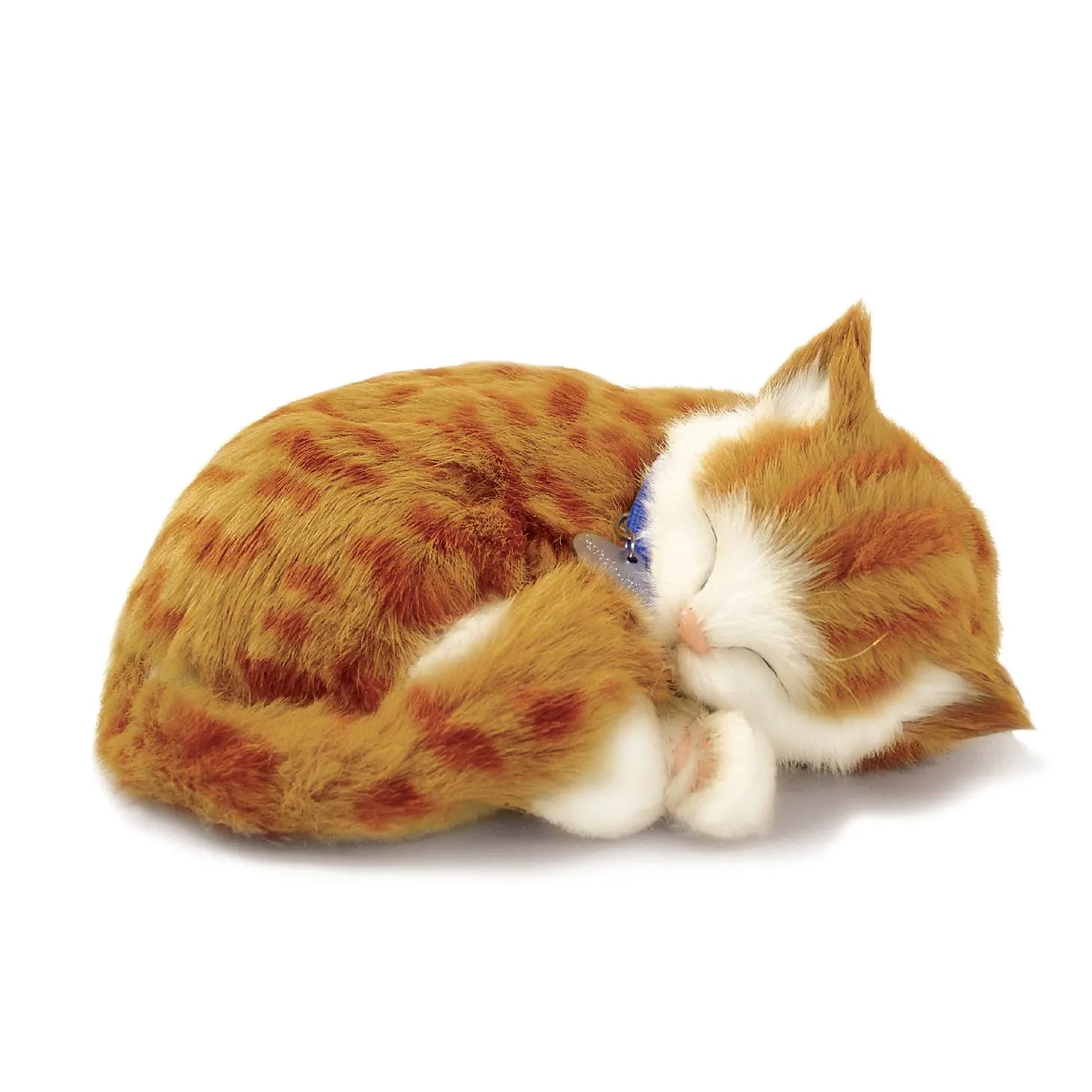Perfect Petzzz