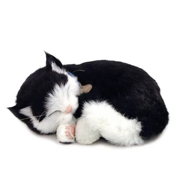 Perfect Petzzz