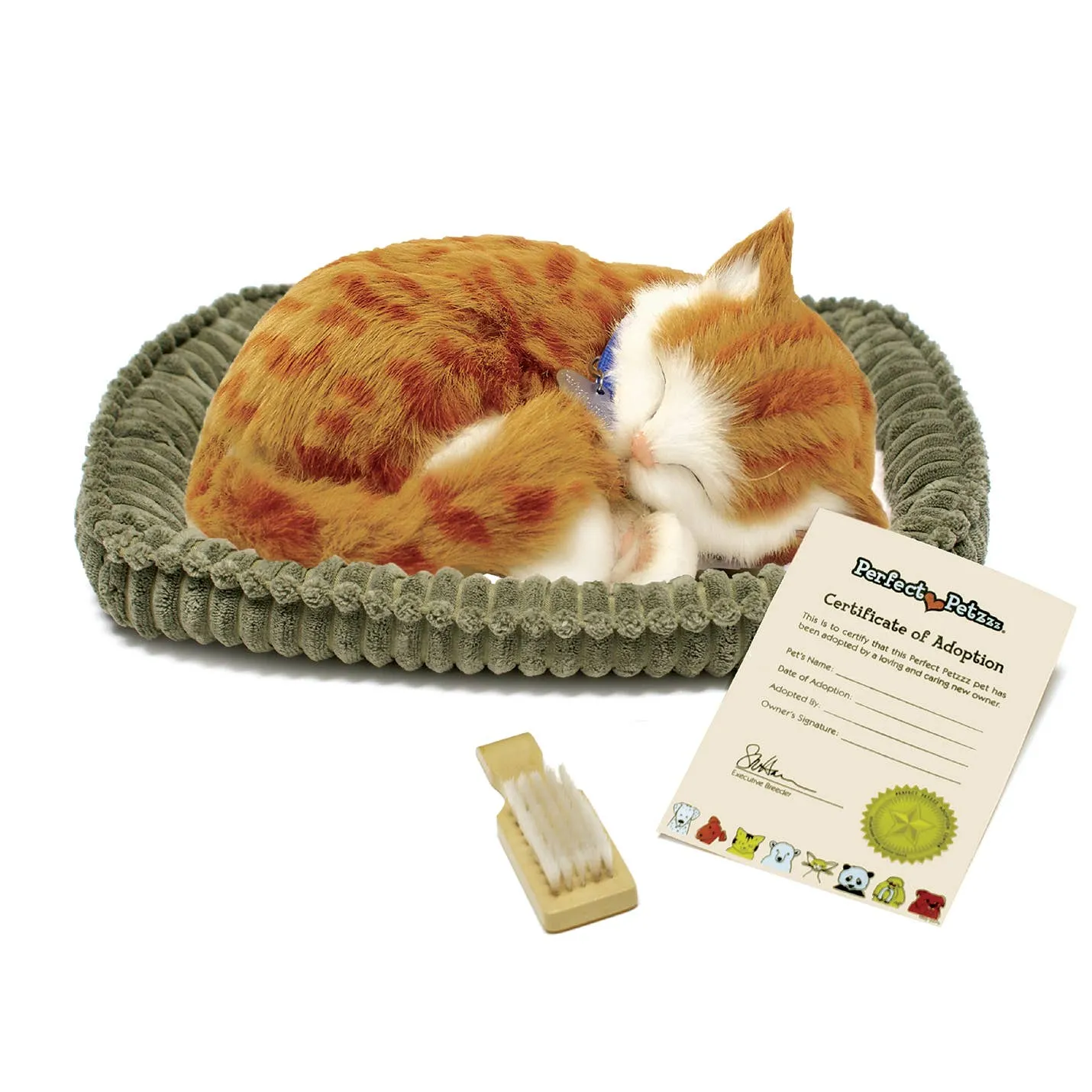 Perfect Petzzz