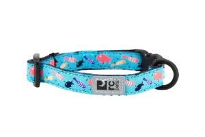 RC Pet Kitty Collar - Shoal