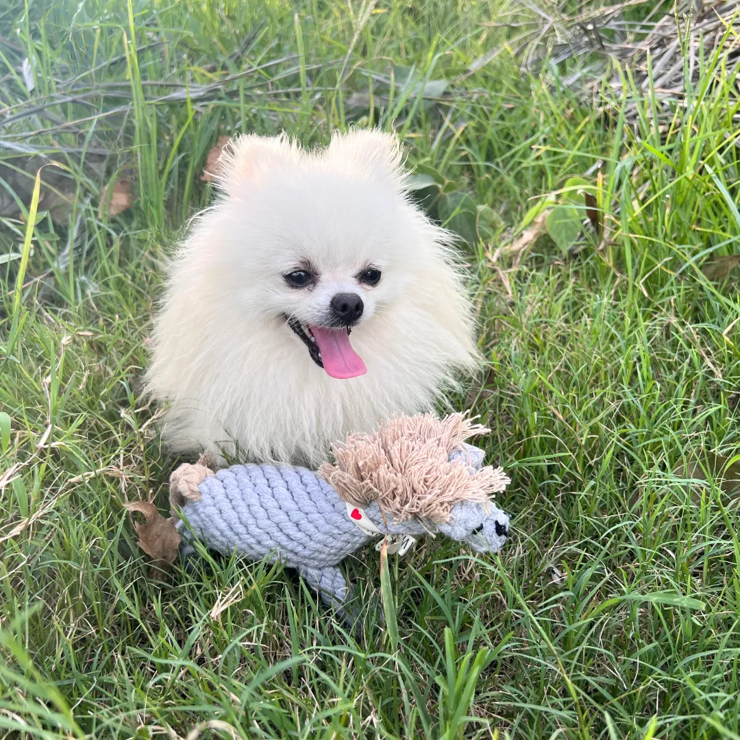 Serene the Gray Horse Rope Toy