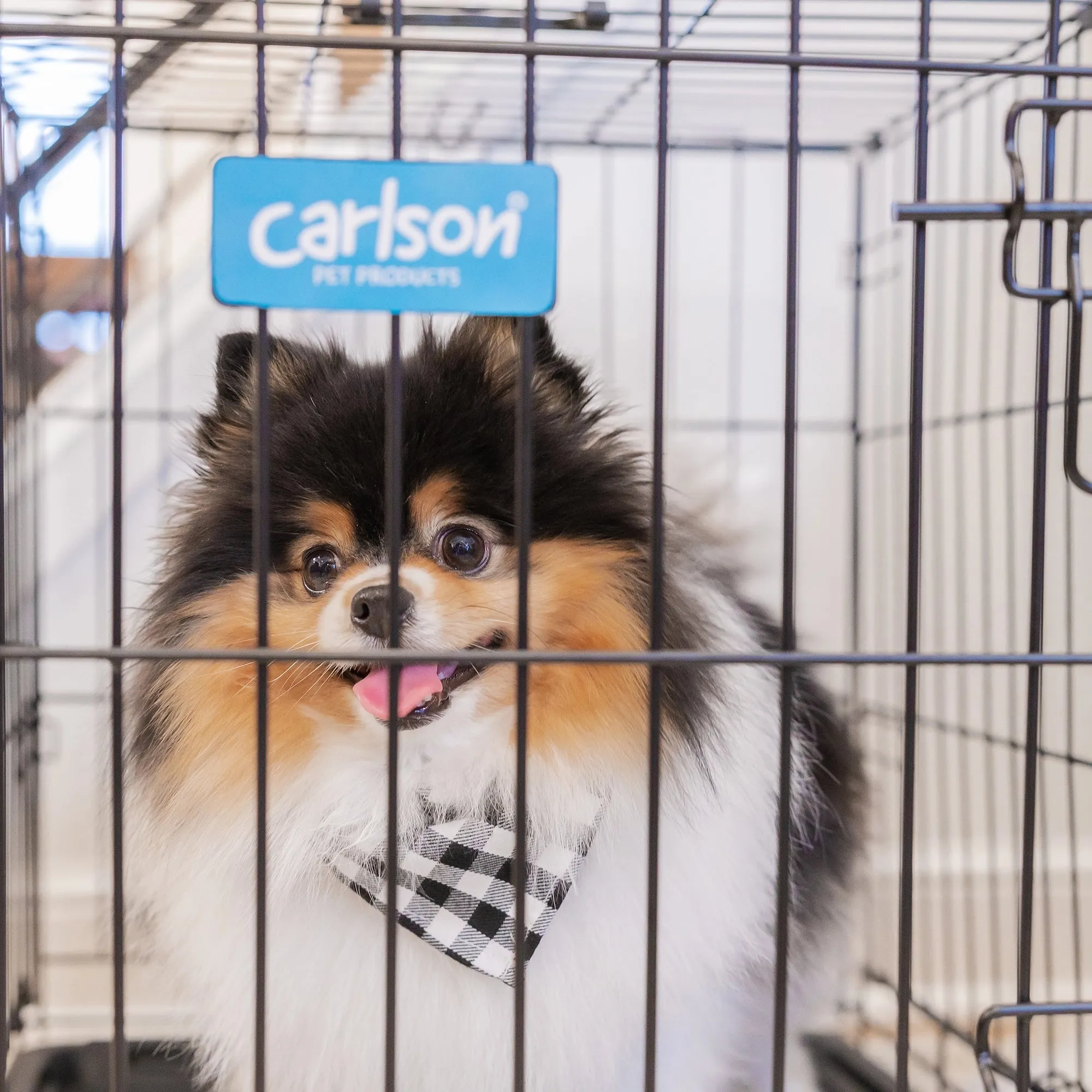 Small Single-Door Dog Crate