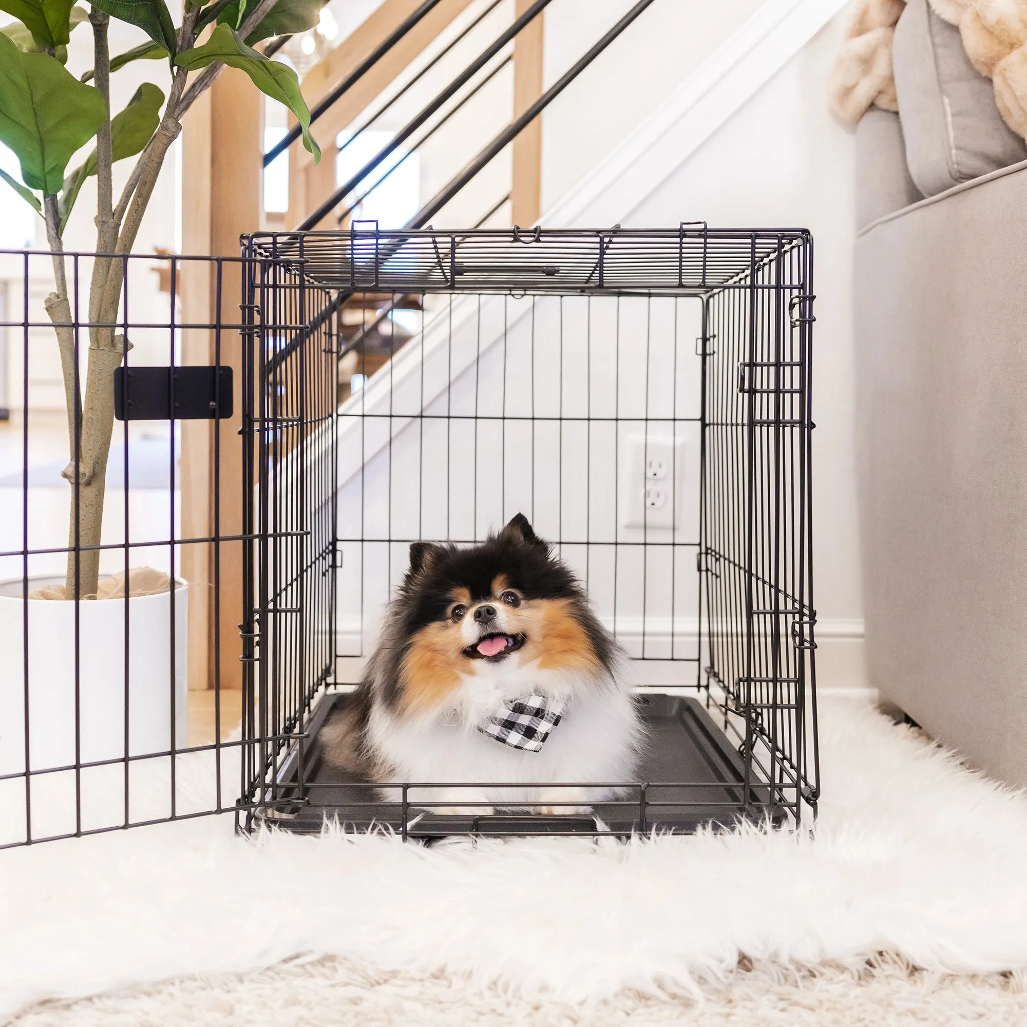Small Single-Door Dog Crate