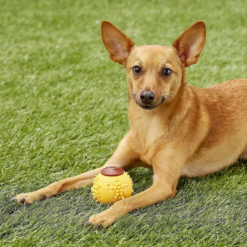Starmark RubberTuff Dog Treat Ball Orange