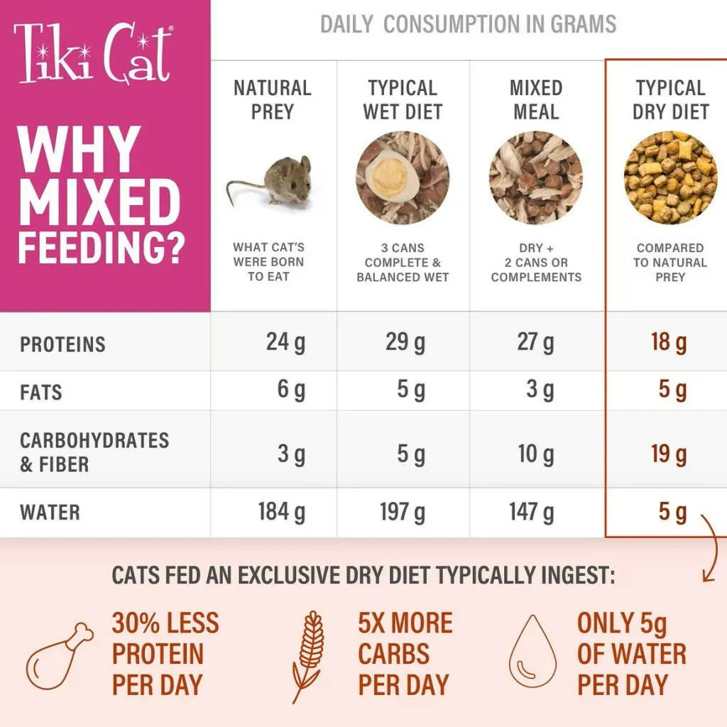 Tiki Cat Chicken Broth Pouch (1.3 oz x 12 pouches)
