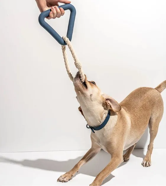Wild One Triangle Tug Dog Chew Toy (Moonstone)