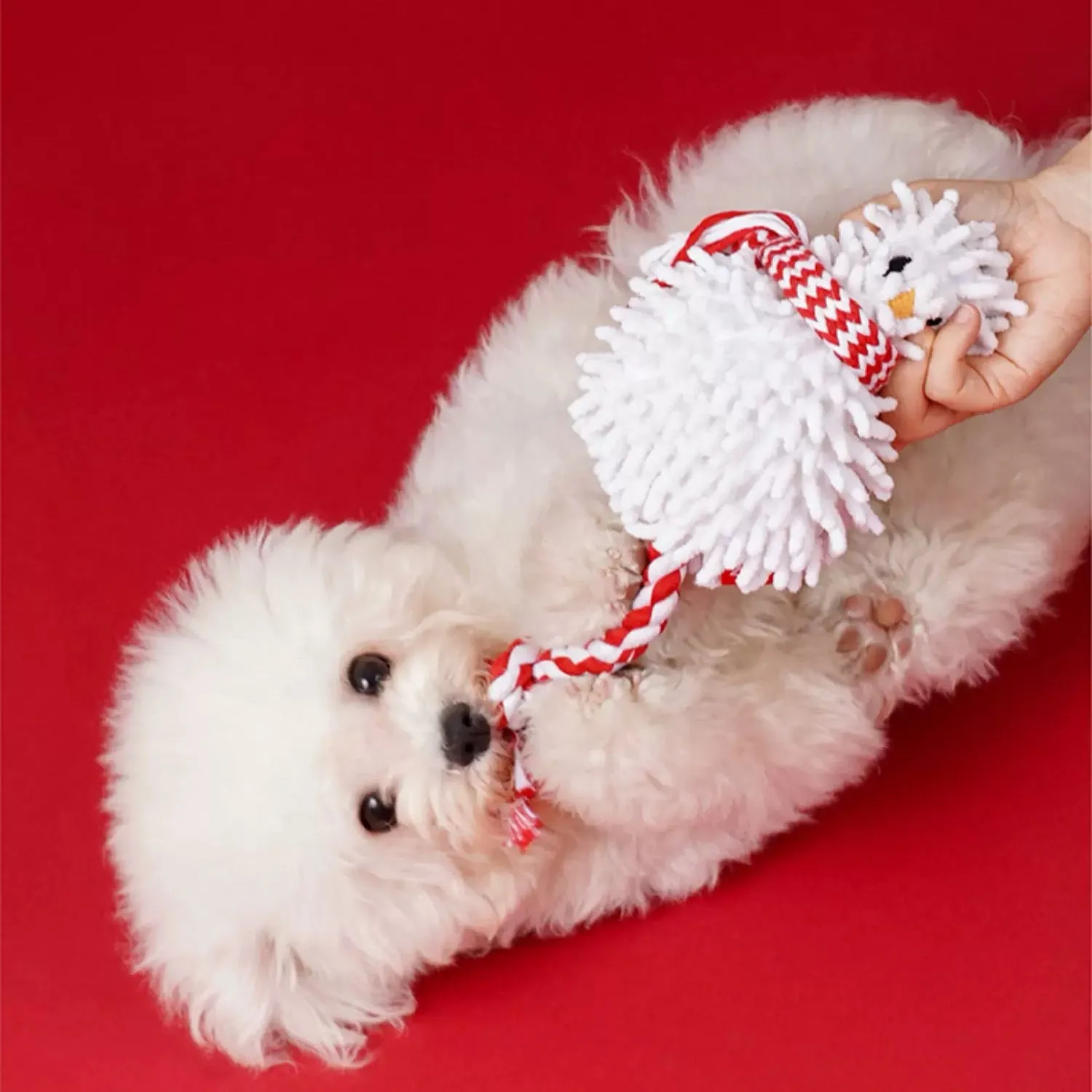 ZEZE Christmas Snowman Dog Rope