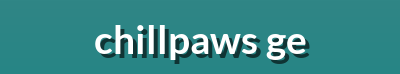 Summer Pet Gear, Fun Playtime Toys, Outdoor Essentials, and Hydration Products for Your Pet